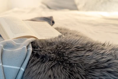 Haus "Sanddorn", Wohnung 21