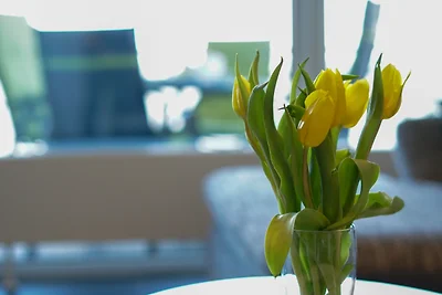 "Dünenpark Heiligenhafen", Haus "Meerdüne", W...