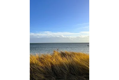 "Vier Jahreszeiten", Haus III, Wohnung 8