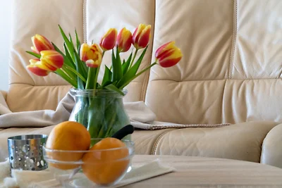 Schöne Aussicht, Wohnung 2.02 "frische Brise"