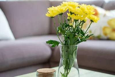 "Dünenpark Heiligenhafen", Haus "Ostseedüne",...