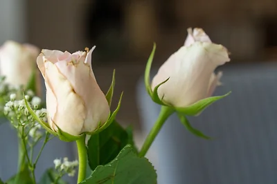 "Ferienpark Heiligenhafen", Haus I, Wohnung 0...