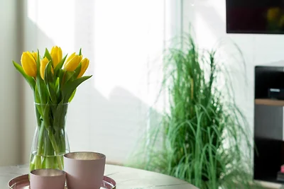 "Dünenpark Heiligenhafen", Haus "Dünenblick",...