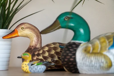 Schöne Aussicht, Wohnung 2.02 "frische Brise"