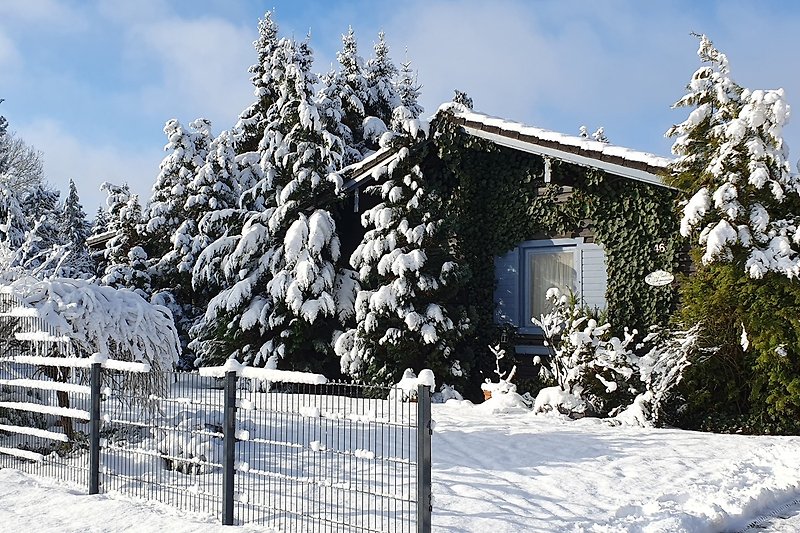 Winterliches Heideblockhaus Erika