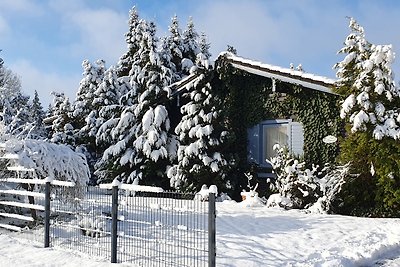 Heideblockhaus Erika