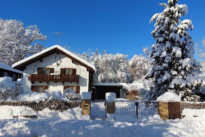 Winterlandschaft mit verschneitem Haus und Tannenbaum.