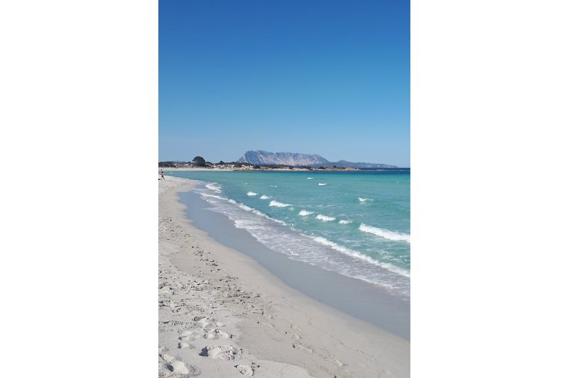 La sabbia bianca della spiaggia dell'Isuledda