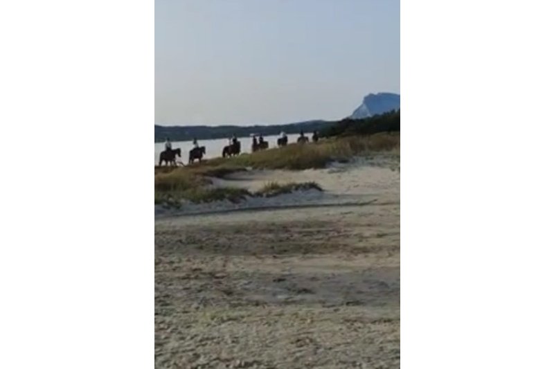 Passeggiate a cavallo sulla spiaggia La Cinta