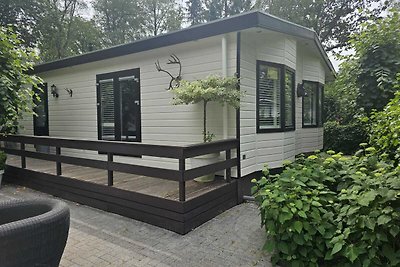 Luxe 6 pers Chalet op de Veluwe