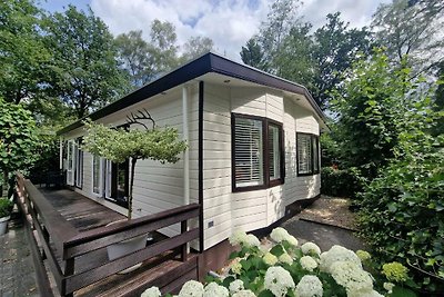 Luxe 4-6 pers Chalet op de Veluwe