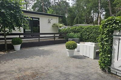 Luxe 6 pers Chalet op de Veluwe