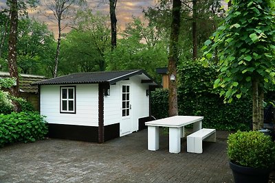 Luxe 6 pers Chalet op de Veluwe