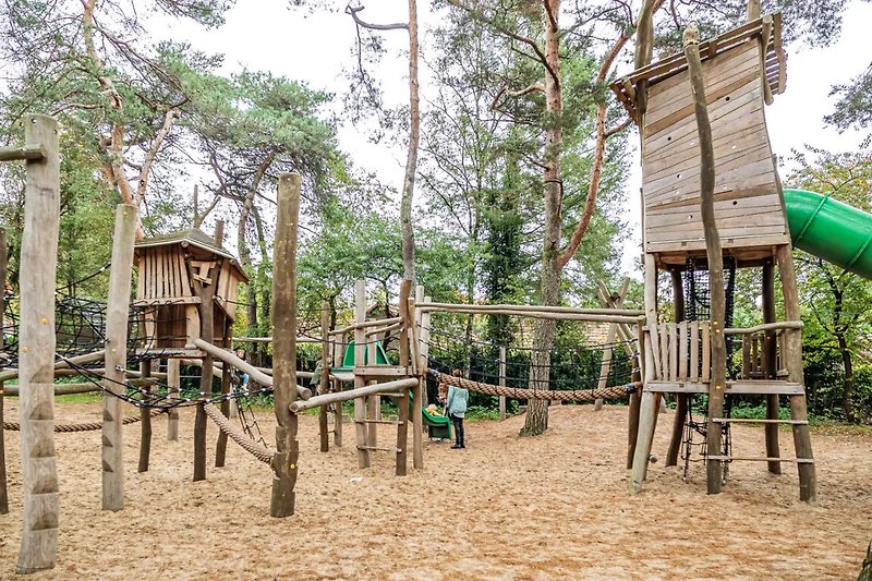 A playful outdoor playground with a swing and slide surrounded by lush greenery.