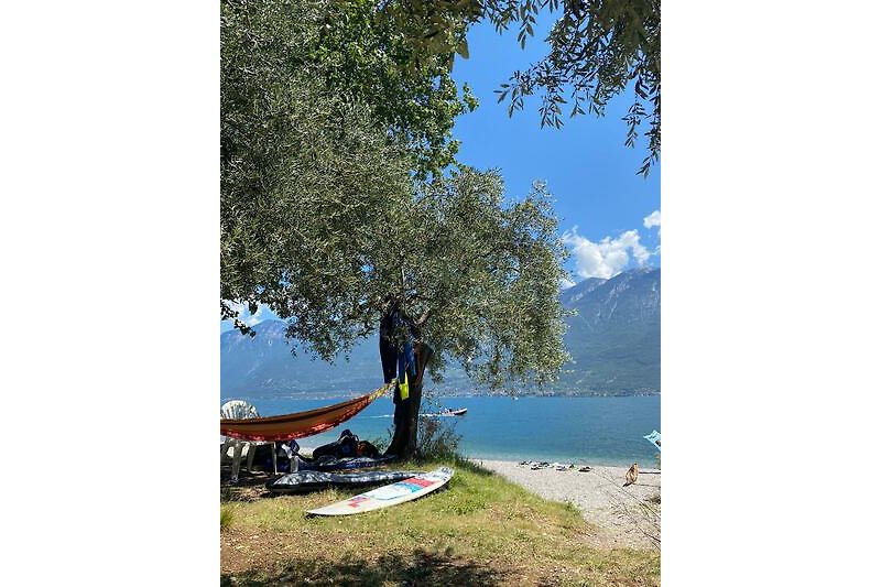 Strand unter Olivenbäumen in Campione