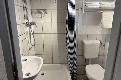 Zum Feuersalamander