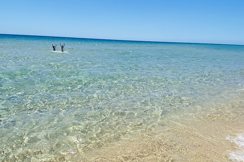 Wunderschöne Küstenlandschaft mit Sandstrand und klarem, blauen Wasser.