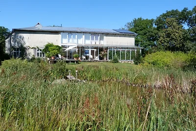 Kröte Am Soederbring