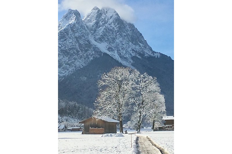 Berglandschaft mit Schnee, Bäumen und einem Haus
