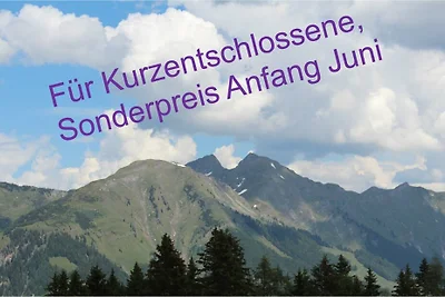 Ferienwohnung Daniela 6 in Rauris