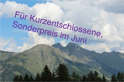 Ferienwohnung Daniela 6 in Rauris