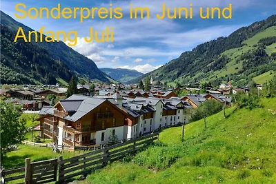 Ferienwohnung Daniela 6 in Rauris