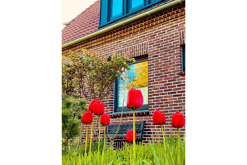 Ein idyllisches Haus mit grünem Garten und rotem Backstein.