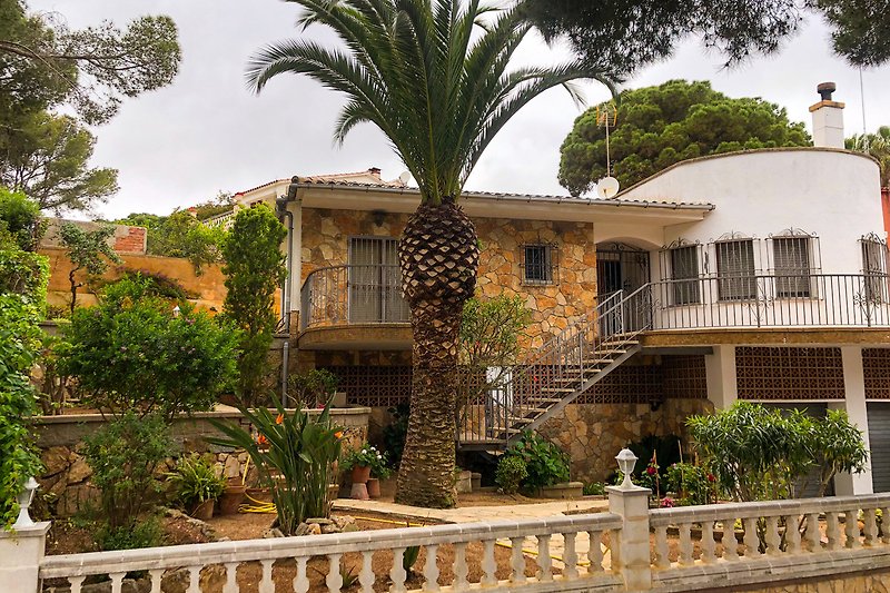 Ferienhaus mit tropischem Garten und Palmen.