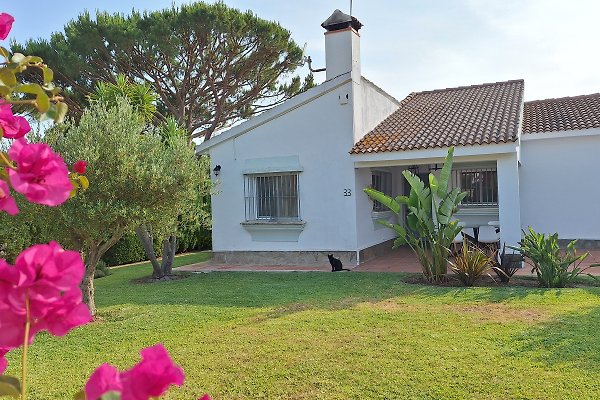 Ferienhaus Conil de la Frontera
