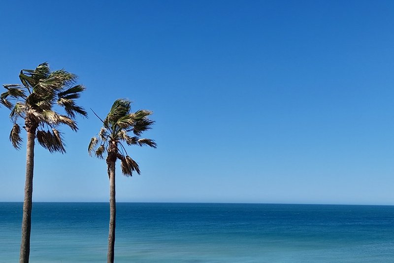 Karibisches Paradies mit Palmen, Strand und blauem Ozean? Nein, der Strand von Roche bei Levante (Ostwind)
