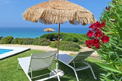 Estrella del Mar