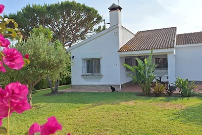 Casa Concha, Ferienhaus in Meeresnähe mit Garten und privatem Pool, A/C & WIFI
