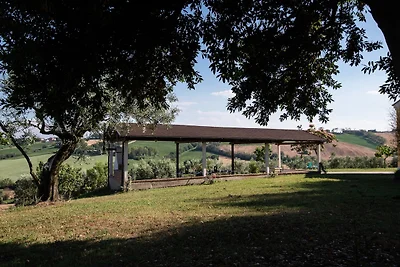 Gelso Casale VillaSofia Senigallia