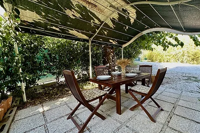 Gelso Casale VillaSofia Senigallia