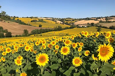 CasaleVillaSofia Senigallia Quercia