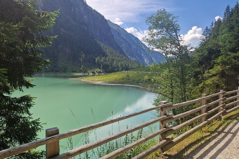 Bergsee mit umgebenden Kiefern und majestätischen Bergen.