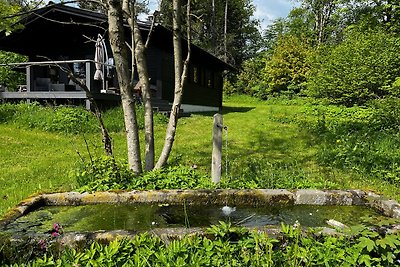 Chalet Vogelsberg