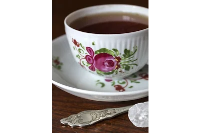 FH Schneider Robbenplate 21