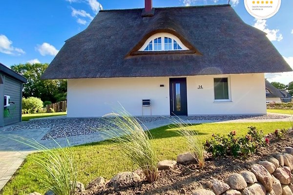 Ferienhaus Pepelow
