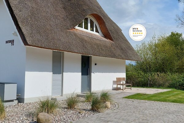 Ferienhaus Am Salzhaff