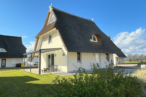 Ferienhaus Am Salzhaff