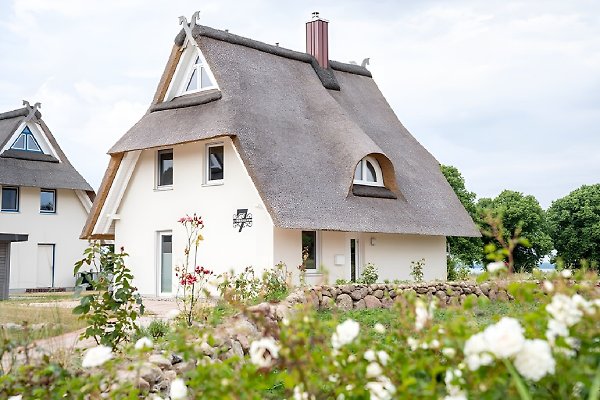 Ferienhaus Am Salzhaff