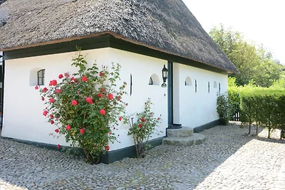 Haus Strandläufer*****