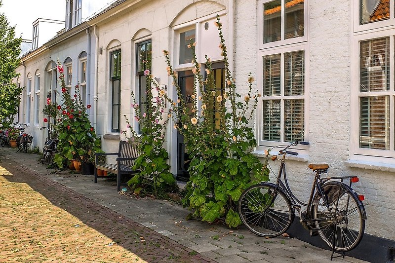 Middelburg, Pflanzen und ein gelbes Gebäude in einer städtischen Umgebung.