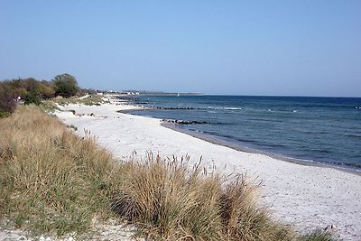 Vakantieappartement Gezinsvakantie Burgtiefe