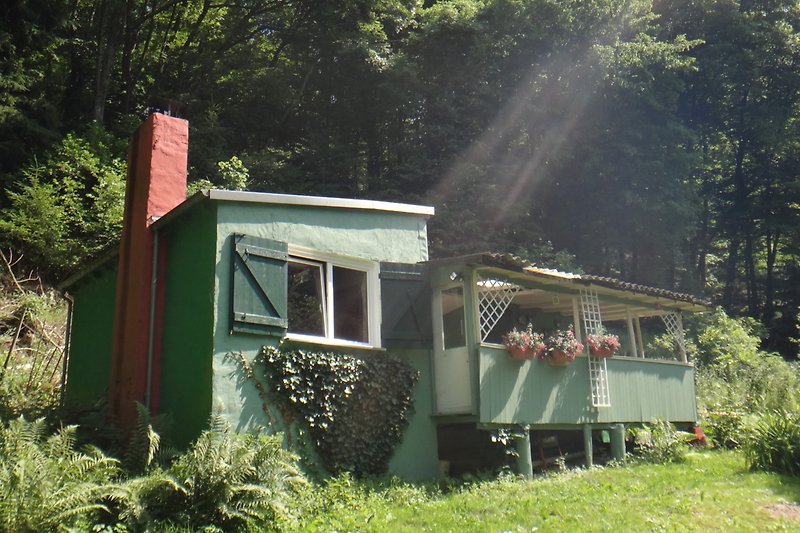 ehemalige Jagdhütte in völliger Alleinlage am Waldrand/Bach, eingezäuntes Grundstück.