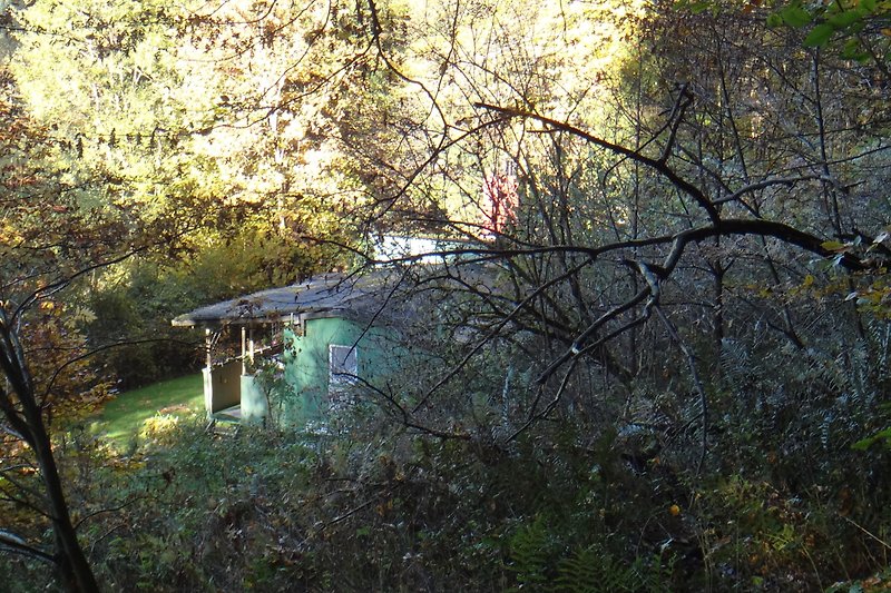 Hier liegt die Hütte eingebettet in Wiese und Bäume begrenzt vom plätscherndem Bach und Hecke.