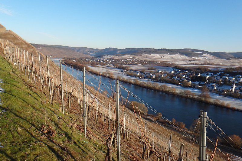 Winter an der Mosel Weinlage Brauneberger Juffer, gegenüber von Moselort Brauneberg