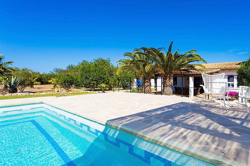 Moderne Ferienwohnung mit Pool Entspannung am Pool mit Sonnenliegen unter Palmen.