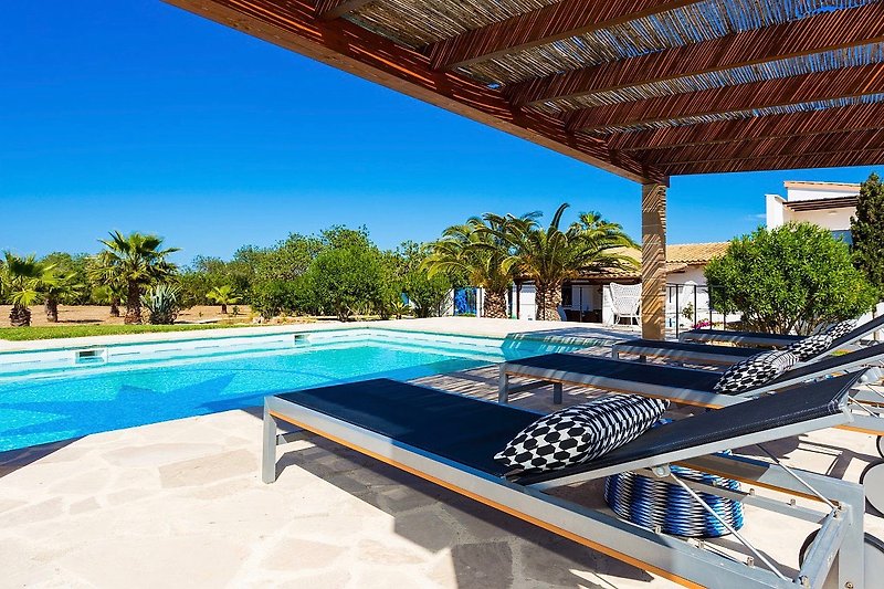 Moderne Ferienwohnung mit Pool .Entspannung am Pool mit Sonnenliegen unter Palmen.